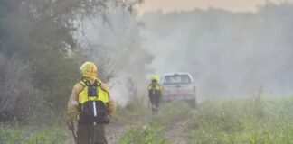 Incendio de grandes dimensiones en la zona de La Picada. Foto: Bomberos Voluntarios