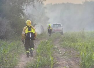 Incendio de grandes dimensiones en la zona de La Picada. Foto: Bomberos Voluntarios