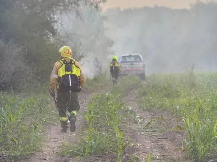 Incendio de grandes dimensiones en la zona de La Picada. Foto: Bomberos Voluntarios