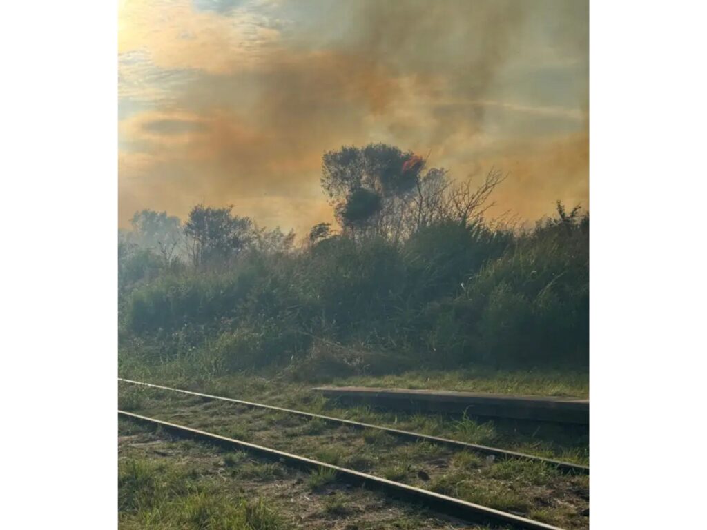 Incendio de grandes dimensiones en la zona de La Picada. Foto: Bomberos Voluntarios