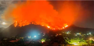 Incendios forestales. Foto: REUTERS