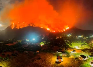Incendios forestales. Foto: REUTERS