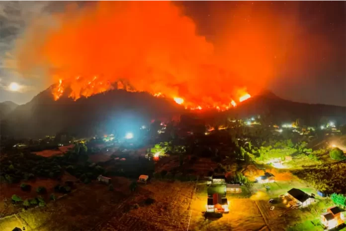 Incendios forestales. Foto: REUTERS