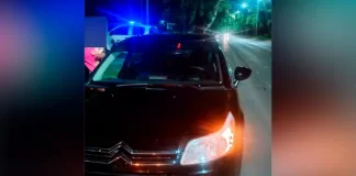 Auto chocó contra un ciervo en Paraná