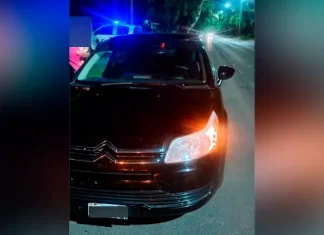 Auto chocó contra un ciervo en Paraná