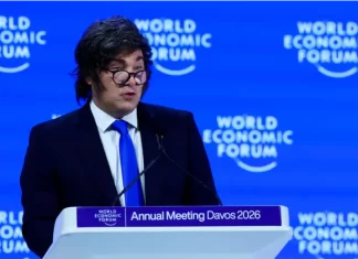 Javier Milei ante el Foro de Davos. Foto: Infobae
