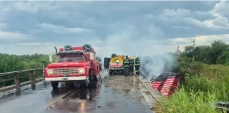 Fatal accidente sobre Ruta Nacional 127. Foto: Policía de Entre Ríos