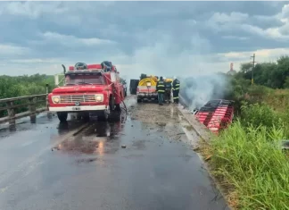 Fatal accidente sobre Ruta Nacional 127. Foto: Policía de Entre Ríos