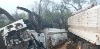 Camión despistó y volcó en ruta 12. Foto: Bomberos Voluntarios