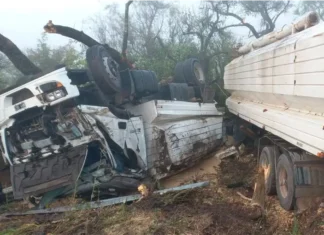 Camión despistó y volcó en ruta 12. Foto: Bomberos Voluntarios