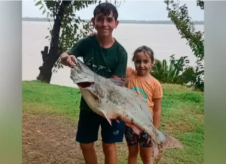 Dos niños pescaron un patí de casi ocho kilos en Hernandarias y vivieron una jornada inolvidable Dos niños pescaron un patí enorme en Hernandarias
