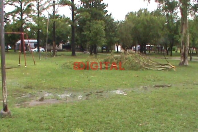 Temporal en Colonia Avellaneda. Foto: Elochodigital