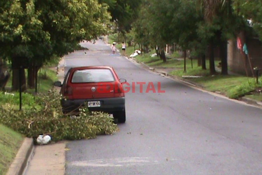 Temporal en Colonia Avellaneda. Foto: Elochodigital