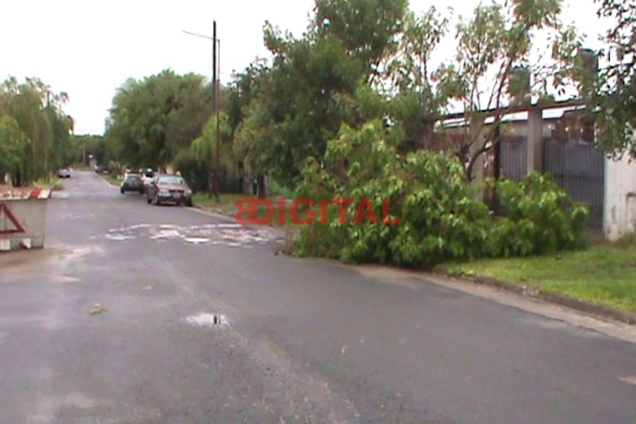 Temporal en Colonia Avellaneda. Foto: Elochodigital