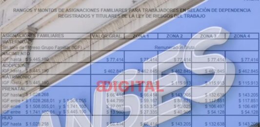 Anses