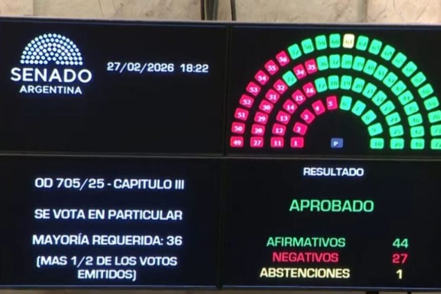 El Senado aprobó la reforma del Régimen Penal Juvenil y bajó la edad de imputabilidad a 14 años.