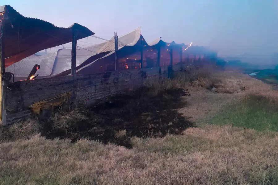 Incendio destruyó un galpón rural en Villaguay y murieron unos 500 cerdos