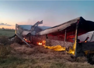 Incendio destruyó un galpón rural en Villaguay y murieron unos 500 cerdos