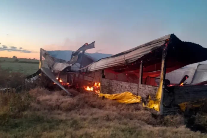 Incendio destruyó un galpón rural en Villaguay y murieron unos 500 cerdos