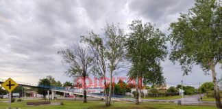 Fin de semana largo con lluvias, tormentas y calor en ascenso en Entre Ríos Tiempo inestable en Colonia Avellaneda. Foto: Elochodigital