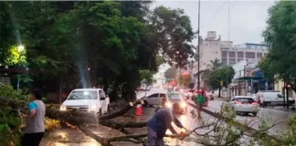 Tormenta en Paraná dejó 33 milímetros