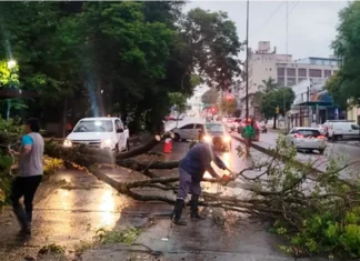 Tormenta en Paraná dejó 33 milímetros