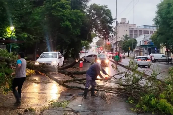 Tormenta en Paraná dejó 33 milímetros Tormenta en Paraná dejó 33 milímetros