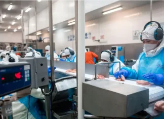 La Argentina reabre el mercado de la Unión Europea para la exportación de carne aviar Senasa