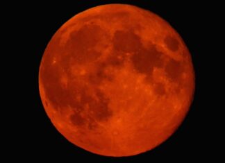 Eclipse lunar del 3 de marzo: a qué hora será y dónde ver la “Luna de Sangre”
