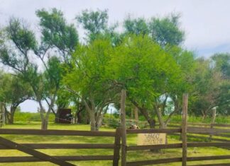 Ofrecen terreno en venta en Paraná por $15 millones en una zona natural y de gran crecimiento Ofrecen terreno en venta en Paraná.