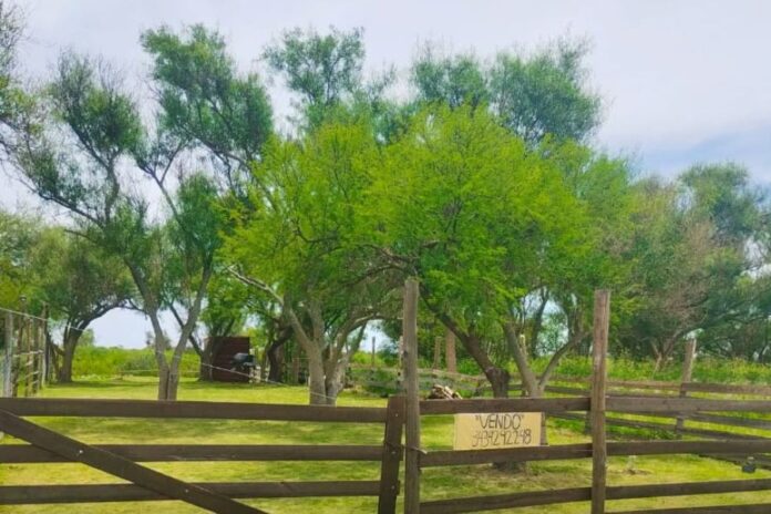 Ofrecen terreno en venta en Paraná.