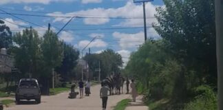 Murió un menor tras un grave choque San José de Feliciano
