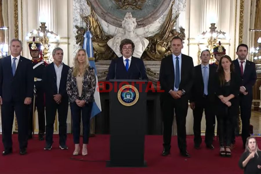 Milei celebró en cadena nacional el fallo por YPF. Foto: (Captura Elochodigital)
