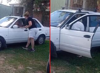 Mujer agredió a un conductor por estacionar bajo la sombra de un árbol frente a su casa en Paraná. Foto: (Redes/Elochodigital)