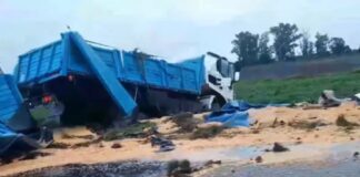 Volcó un camión cargado con soja en Ruta 32. Foto: (Redes)
