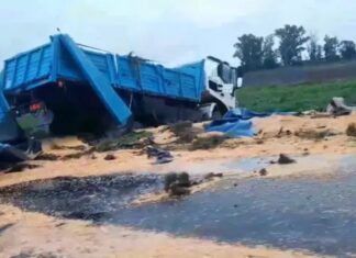 Volcó un camión cargado con soja en Ruta 32. Foto: (Redes)