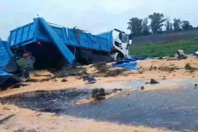 Volcó un camión cargado con soja en Ruta 32. Foto: (Redes)
