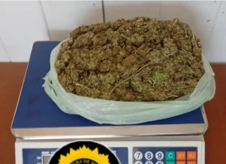 La marihuana incautada