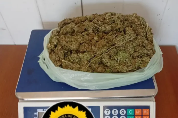 La marihuana incautada