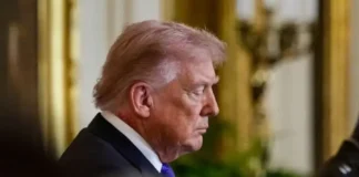 Donald Trump. Foto: Infobae.