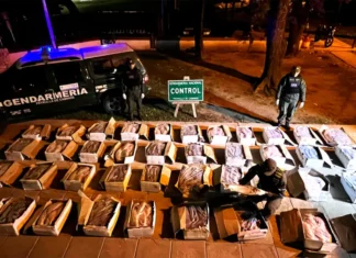 Decomisaron una tonelada de pescado en mal estado. Foto: Gendarmería Nacional