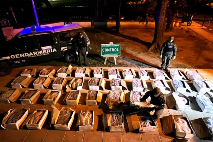 Decomisaron una tonelada de pescado en mal estado. Foto: Gendarmería Nacional