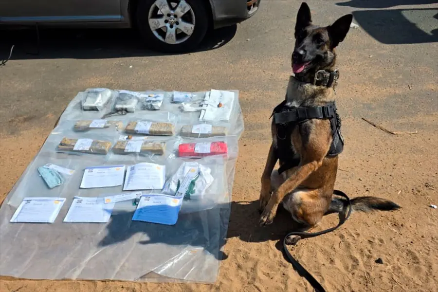 Secuestraron 3 kilos de cocaína y 5 de marihuana. Foto: (PER)