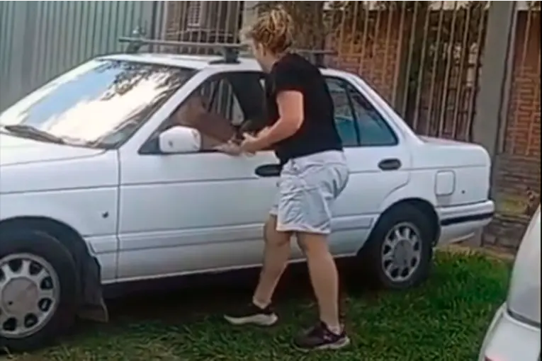 Mujer agredió a un conductor por estacionar bajo la sombra de un árbol frente a su casa en Paraná. Foto: (Redes)