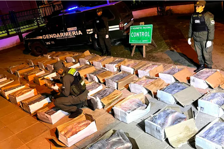 Decomisaron una tonelada de pescado en mal estado. Foto: Gendarmería Nacional