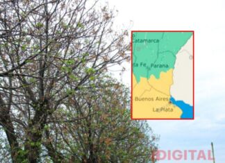 Alerta amarilla por fuertes vientos.