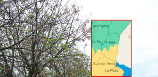 Alerta amarilla por fuertes vientos.