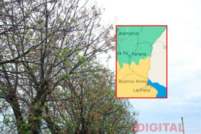 Alerta amarilla por fuertes vientos.