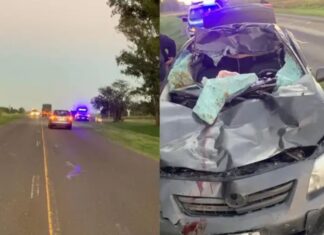 Violento choque contra un caballo en Ruta 12.