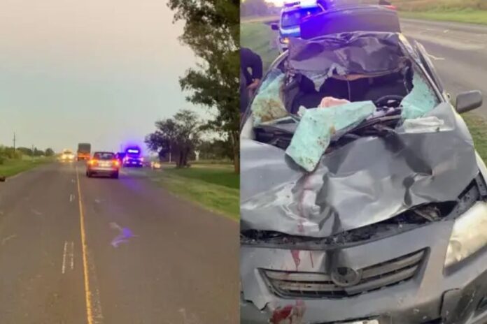 Violento choque contra un caballo en Ruta 12.